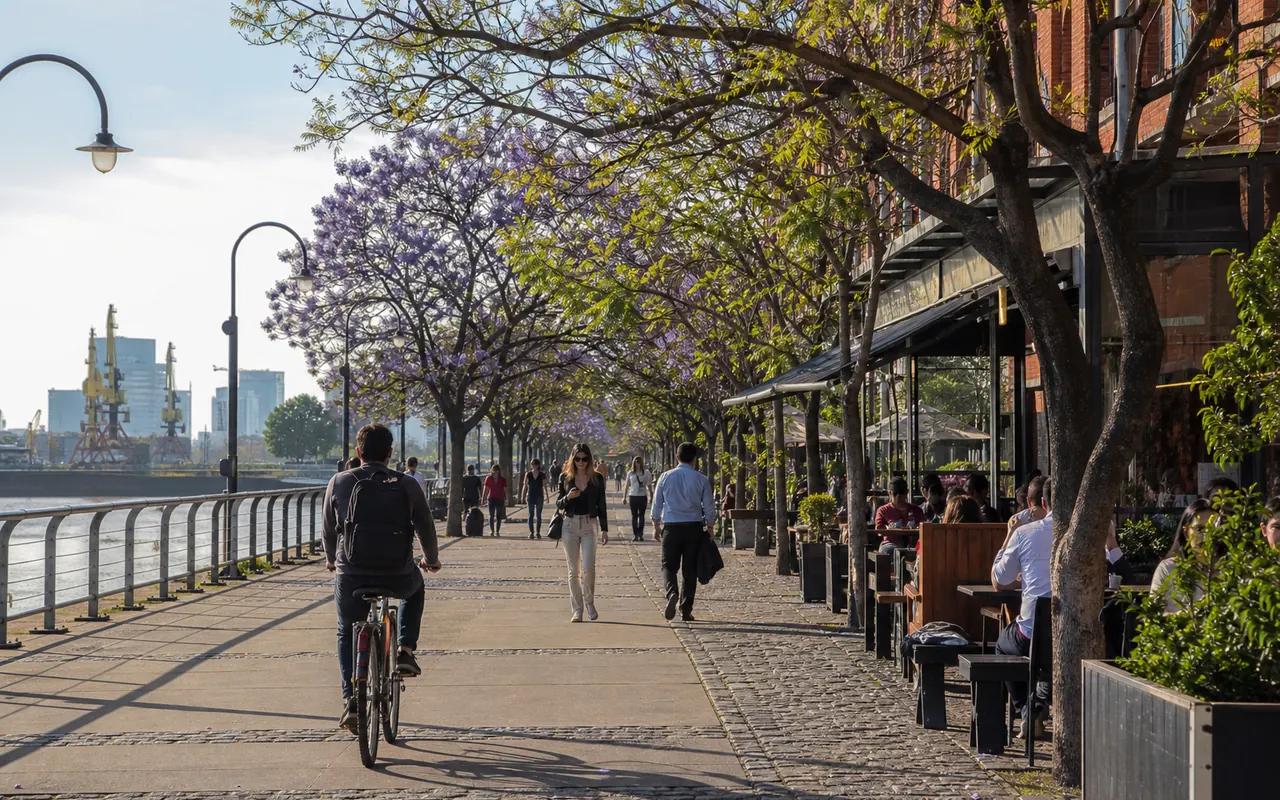 Paseo urbano con jacarandás junto al agua en Buenos Aires